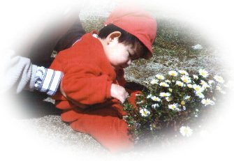 十一枚目の画像、療育園のお庭で、花と戯れるナルちゃん